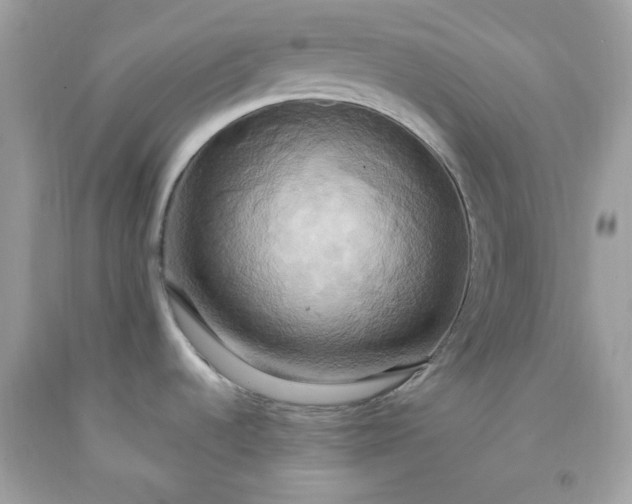 X0000091641536200709060926