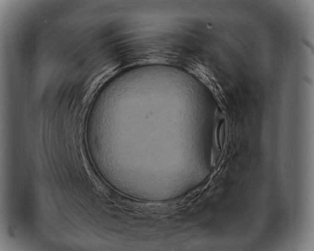 X0000091640001200709131440