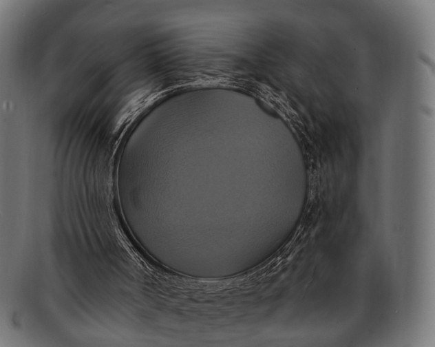 X0000091640002200709131440