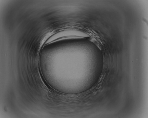X0000091640003200709131440