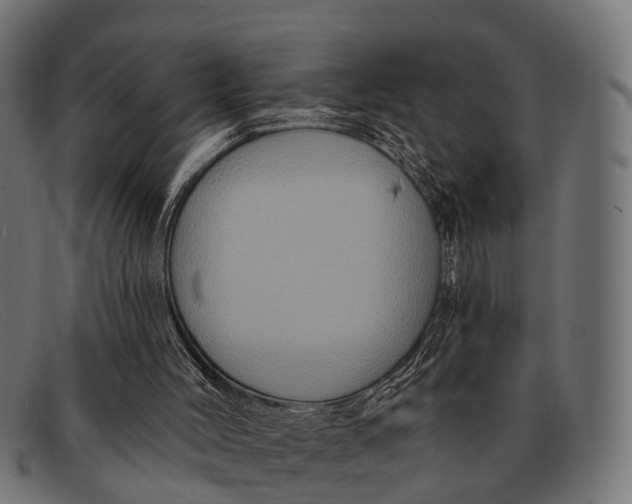 X0000091640004200709131440