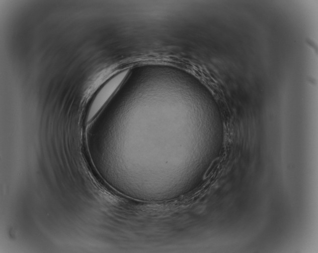 X0000091640005200709131440