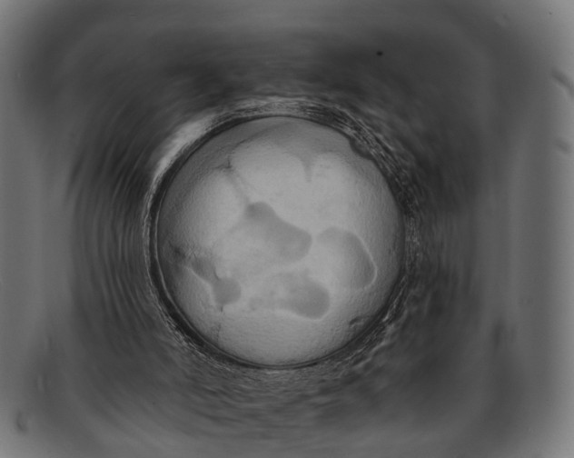 X0000091640006200709131440