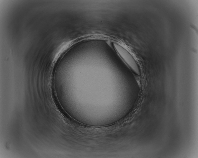 X0000091640007200709131440