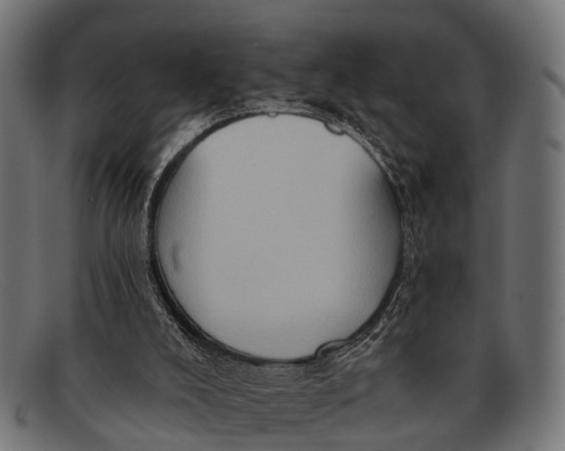 X0000091640008200709131440