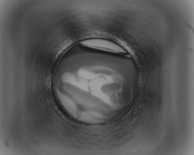 X0000091640010200709131440