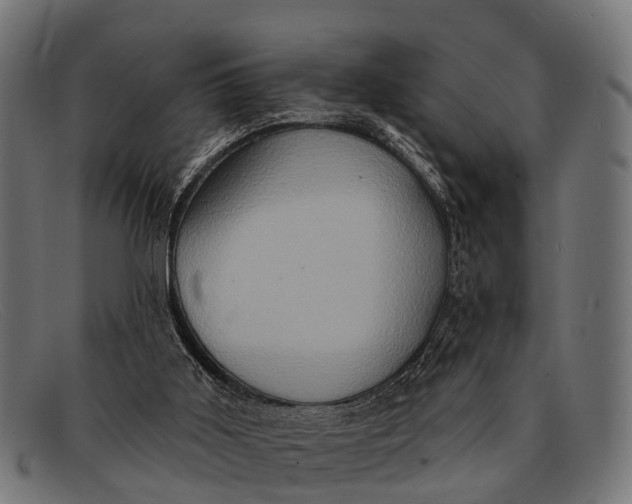 X0000091640011200709131440