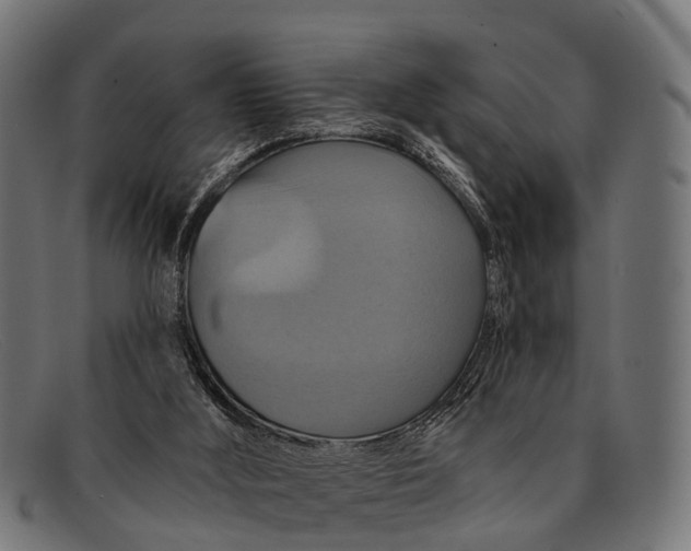 X0000091640012200709131440