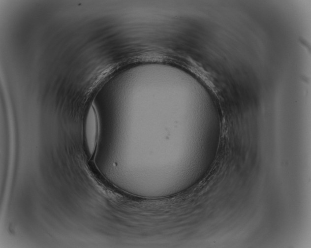 X0000091640013200709131440