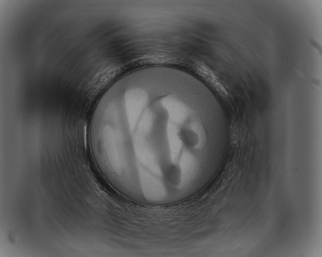 X0000091640014200709131440