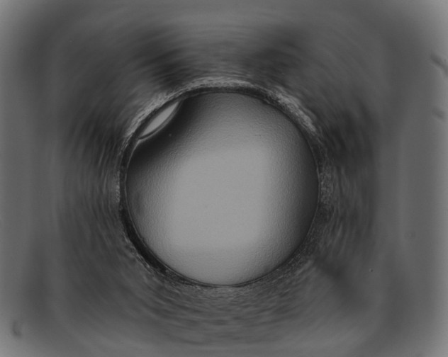 X0000091640015200709131440