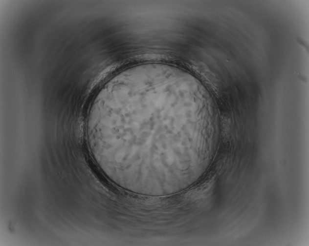 X0000091640016200709131440