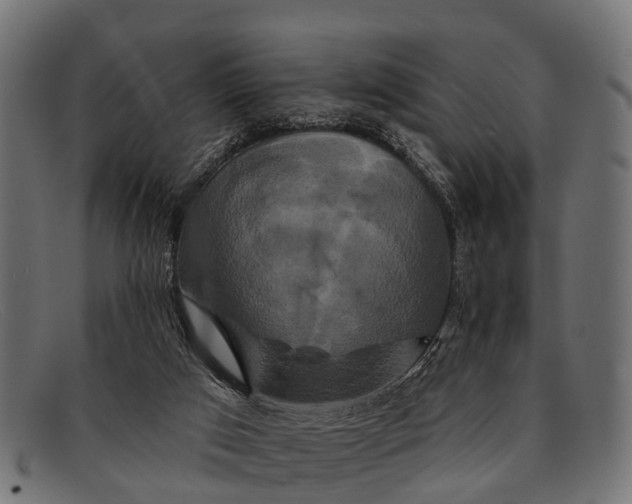 X0000091640017200709131440