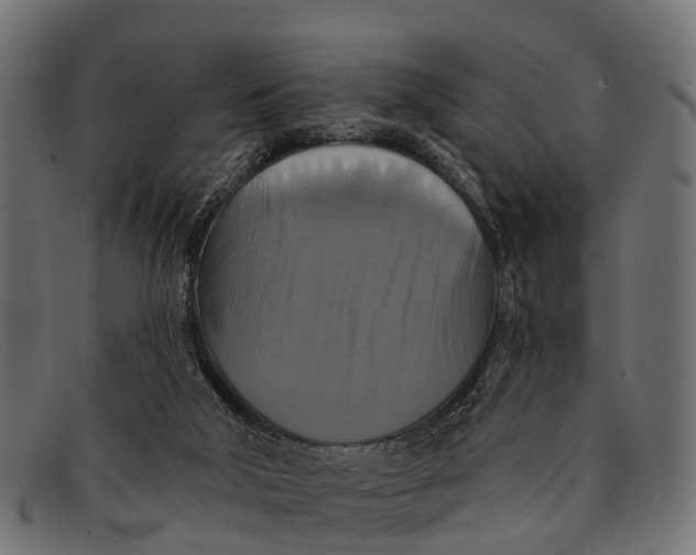 X0000091640018200709131440