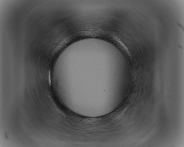 X0000091640020200709131440