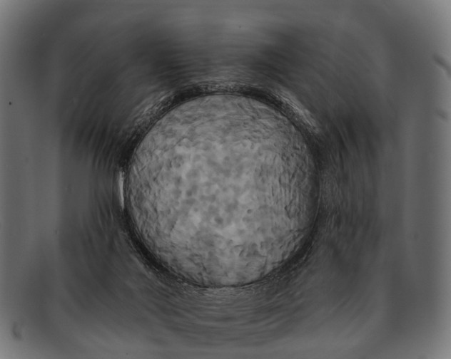 X0000091640022200709131440