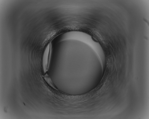 X0000091640023200709131440