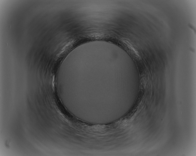 X0000091640024200709131440