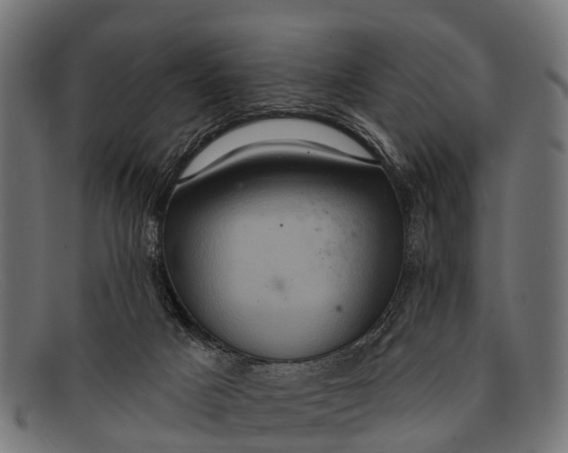 X0000091640025200709131440