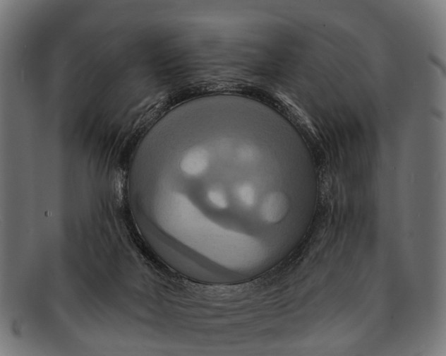 X0000091640026200709131440