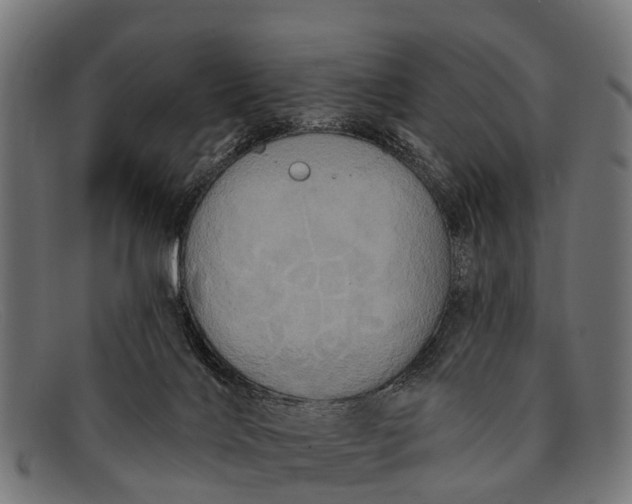 X0000091640028200709131440