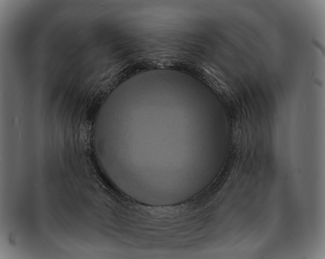 X0000091640030200709131440