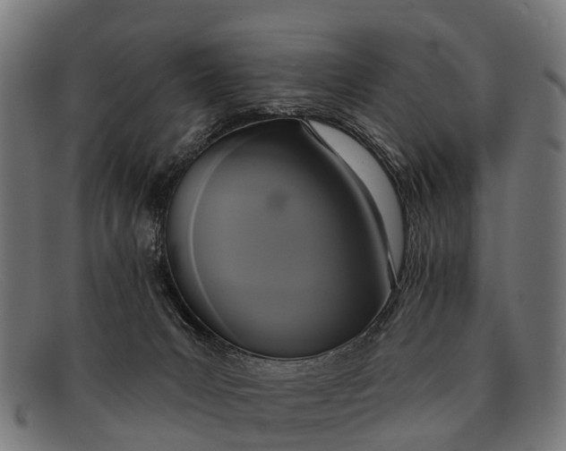 X0000091640031200709131440