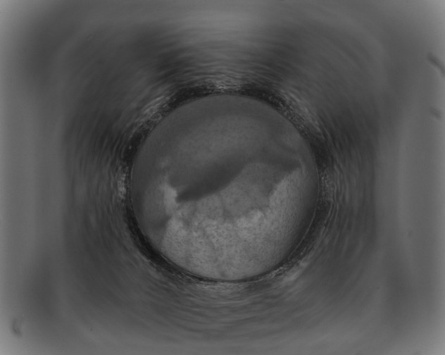 X0000091640032200709131439