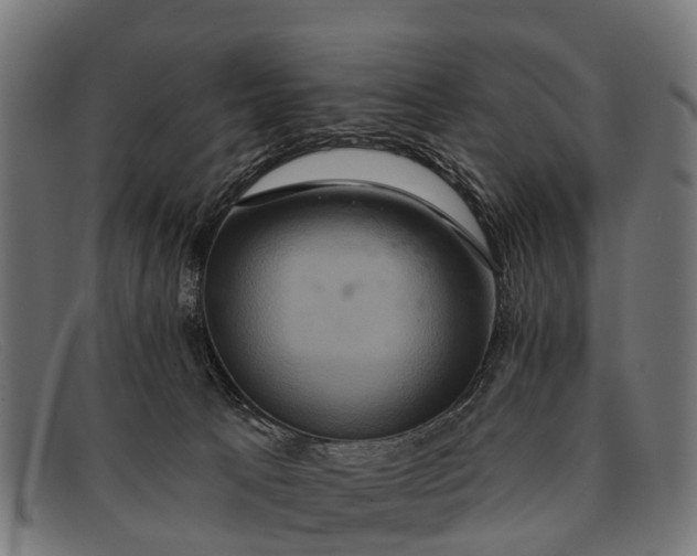 X0000091640033200709131439