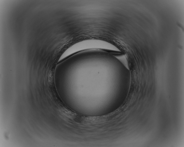 X0000091640037200709131439