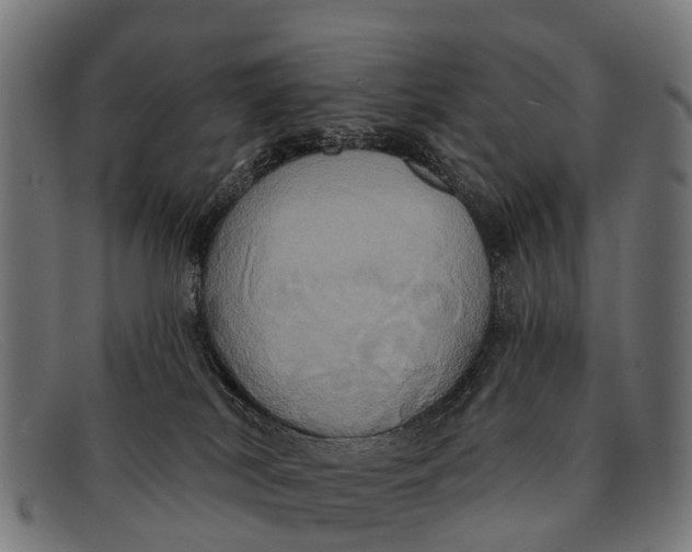 X0000091640038200709131439