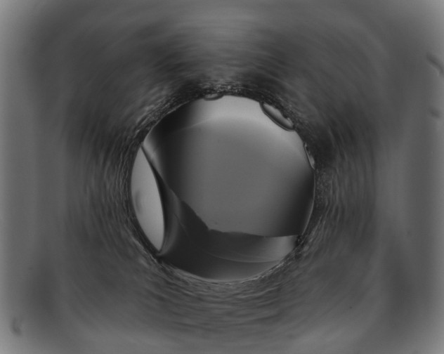 X0000091640039200709131439