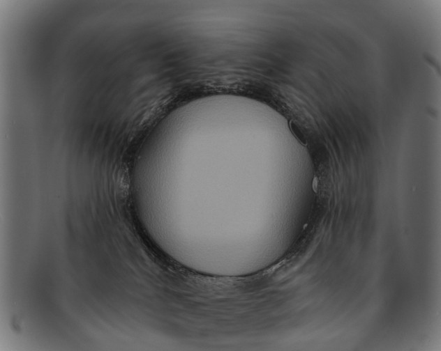 X0000091640040200709131439