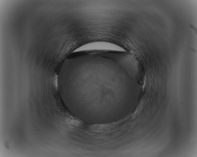 X0000091640041200709131439
