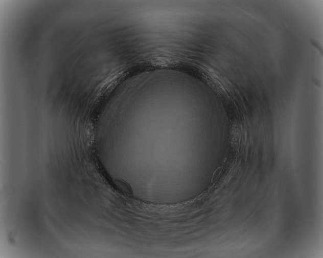 X0000091640043200709131439