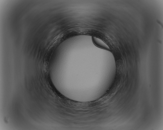 X0000091640044200709131439