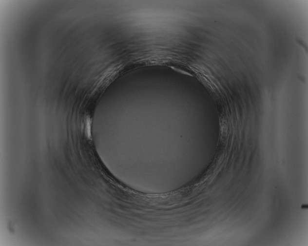 X0000091640046200709131439