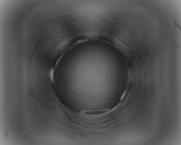 X0000091640047200709131439