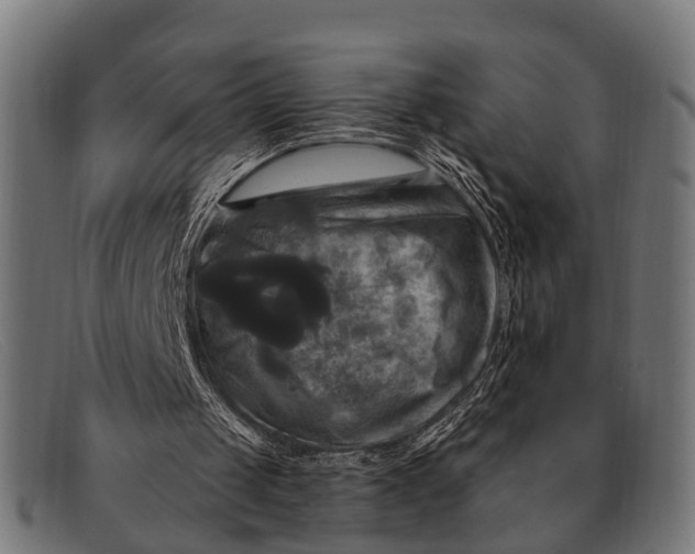 X0000091640049200709131439