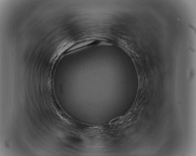 X0000091640050200709131439