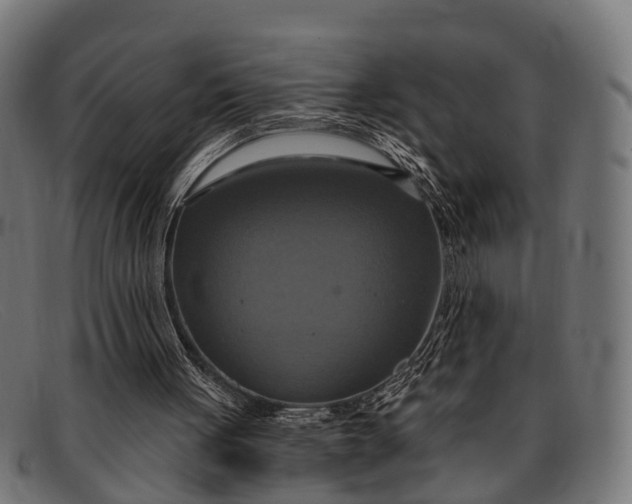X0000091640051200709131439