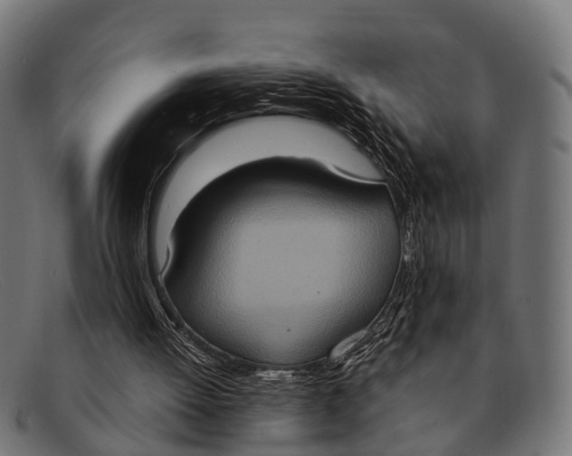 X0000091640052200709131439