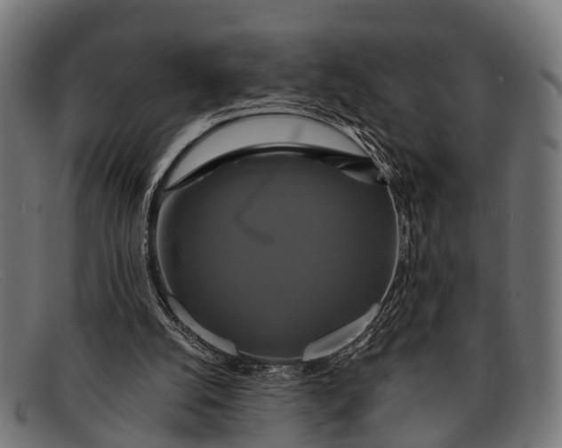 X0000091640056200709131439
