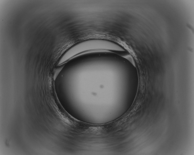 X0000091640057200709131439