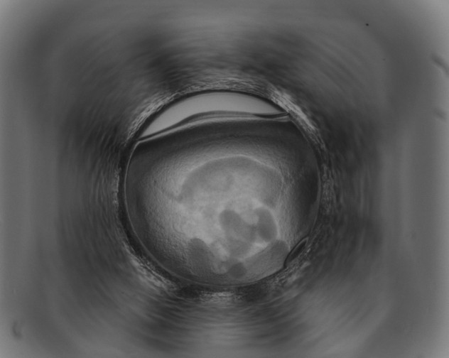 X0000091640058200709131439