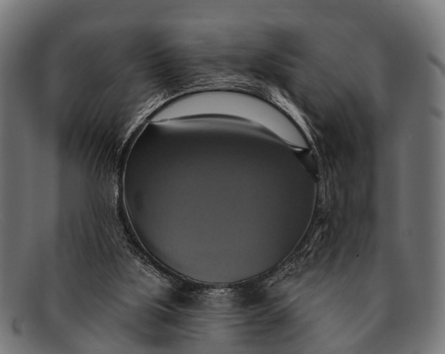 X0000091640059200709131439