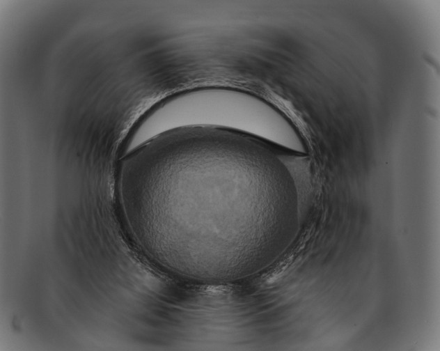 X0000091640060200709131439
