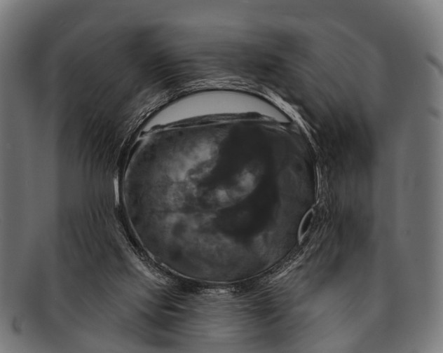 X0000091640061200709131439
