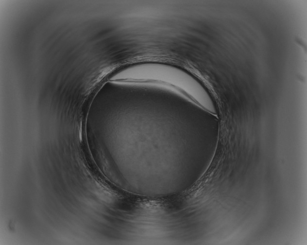 X0000091640062200709131439