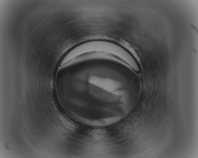 X0000091640063200709131439